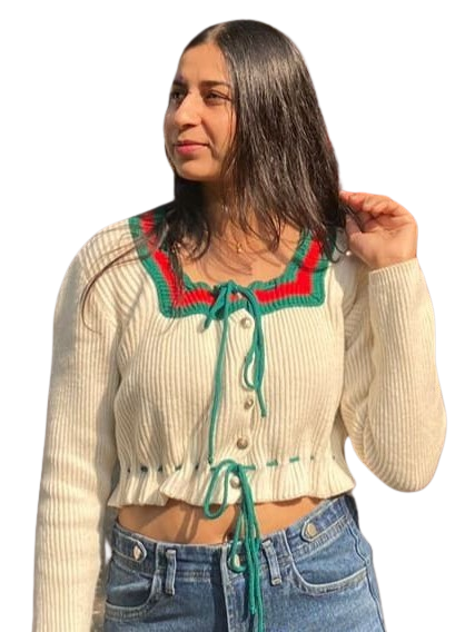 WordPress, Elementor, SEO, Figma, Adobe & Canva Skills – Web Developer Pinky Choudhary